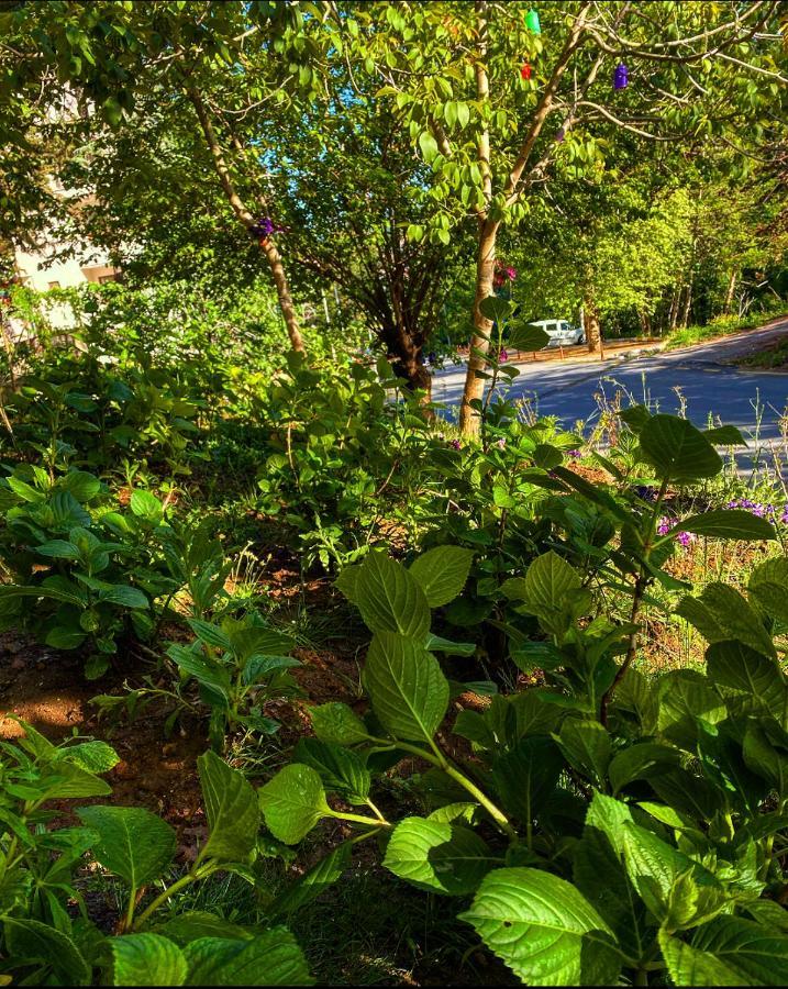 Kapri Termal Hotel & Kaplica Yalova Bagian luar foto