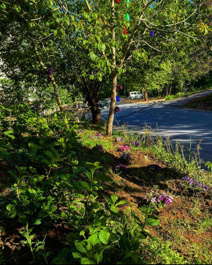 Kapri Termal Hotel & Kaplica Yalova Bagian luar foto